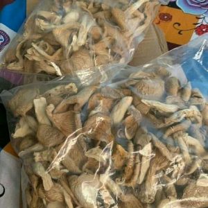 Dry Oyster Mushrooms